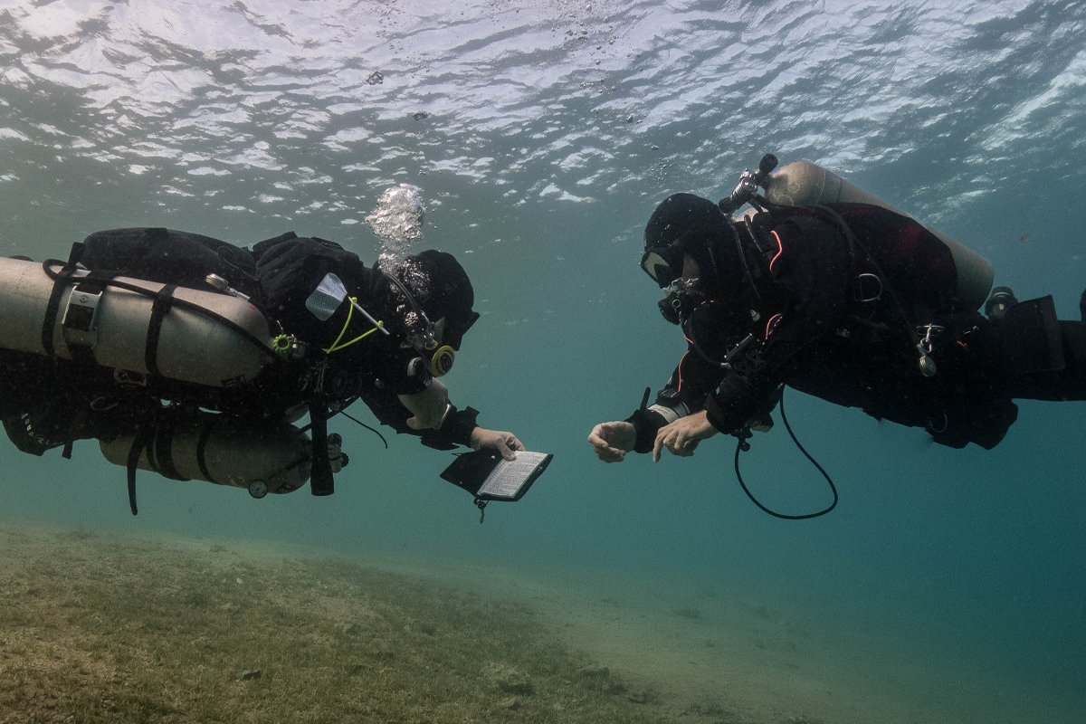 Hurghada & the Red Sea: Diving, Snorkeling and Beach Escapes